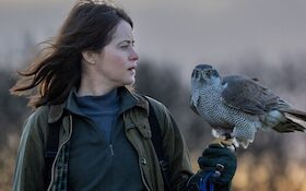 Bild: Sommerkino – NaturfilmNacht Born: »H wie Habicht«