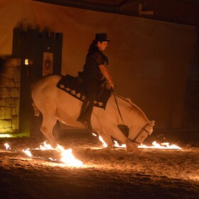 Bild: Abendshow Samstag