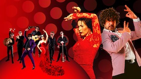 Bild: Flamenco - Rosas Negras