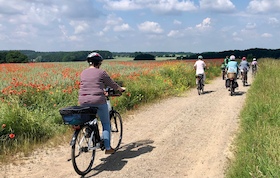 Bild: Geführte Fahrradtour mit der Urlaubsregion Ebstorf e.V.