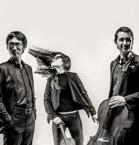 Bild: Amatis Trio - Schubert, Liszt & Mendelssohn Bartholdy