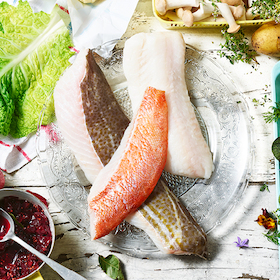 Bild: Küchenhandwerk - Fischfiletierkurs