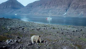Bild: Kulinarisches NaturfilmKino »Home is the Ocean«
