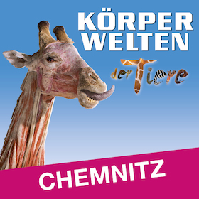 Bild: KÖRPERWELTEN der Tiere | Chemnitz | Zeitfensterticket