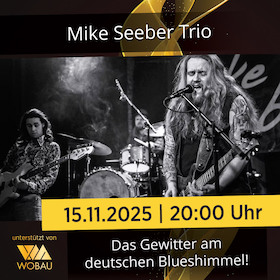 Bild: Mike Seeber Trio | Magdeburg | machwerk