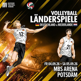Bild: Deutschland - Niederlande