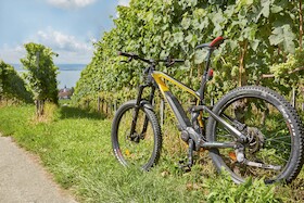 Bild: Altnau - Berg - Ottenberg / Schweiz - Ganztages-Tour