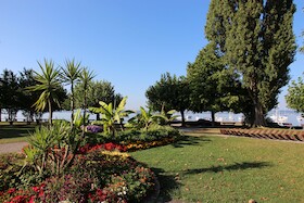 Bild: Schmecken und Staunen - Kulinarischer Spaziergang durch Hagnau am Bodensee