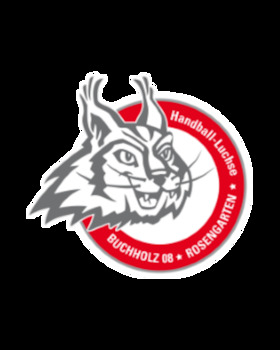 Bild: Rostocker HC - HL Buchholz 08-Rosengarten