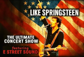 Bild: Like Springsteen - The Ultimate Concert Show featuring E STREET SOUND