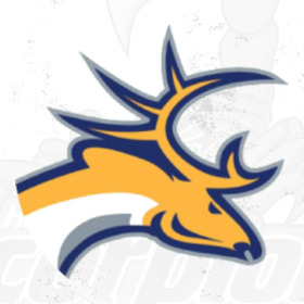 Bild: Hannover Scorpions - Tilburg Trappers
