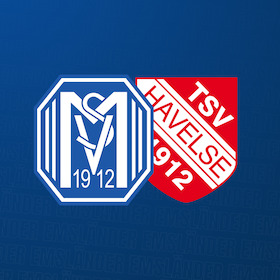 Bild: SV Meppen - TSV Havelse
