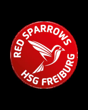 Bild: Rostocker HC - HSG Freiburg