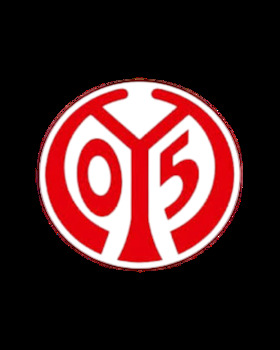 Bild: Rostocker HC - 1. FSV Mainz 05