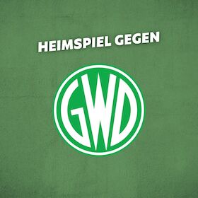 Bild: TV Emsdetten - GWD Minden