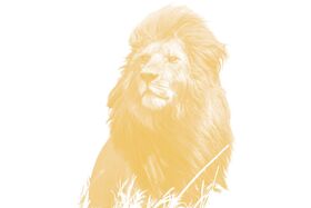 Bild: Heinrich, der Löwe