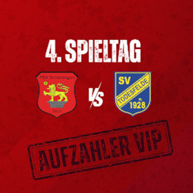 Bild: Aufzahler VIP: FSV Schöningen - SV Todesfelde