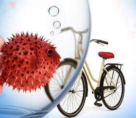 Bild: Fisch sucht Fahrrad - Komödie mit Caroline Beil, Janina Hartwig, Dieter Landuris u.a.