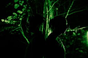 Bild: Bragolin + Carrellee