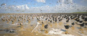 Bild: Im Licht der Sandbank