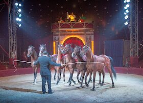 Bild: Ulmer Weihnachtscircus - Vorpremiere zugunsten der Aktion 100.000