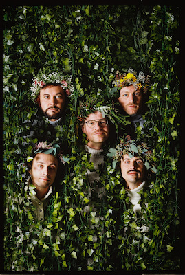 Bild: Gesangskapelle Hermann - Pflanzen