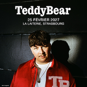Bild: TeddyBear + Guest