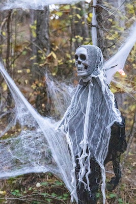 Bild: Halloween Parcours