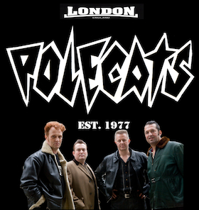Bild: POLECATS - 50th Anniversary Tour