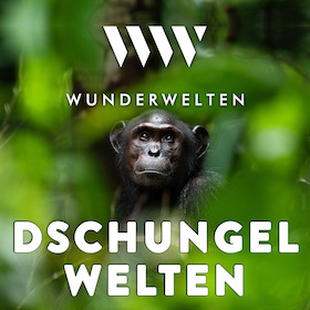 Bild: WunderWelten: Dschungelwelten