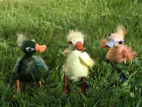 Bild: Ente gut, alles gut!