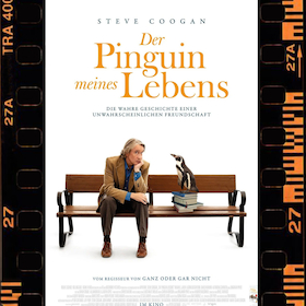 Bild: Der Pinguin meines Lebens