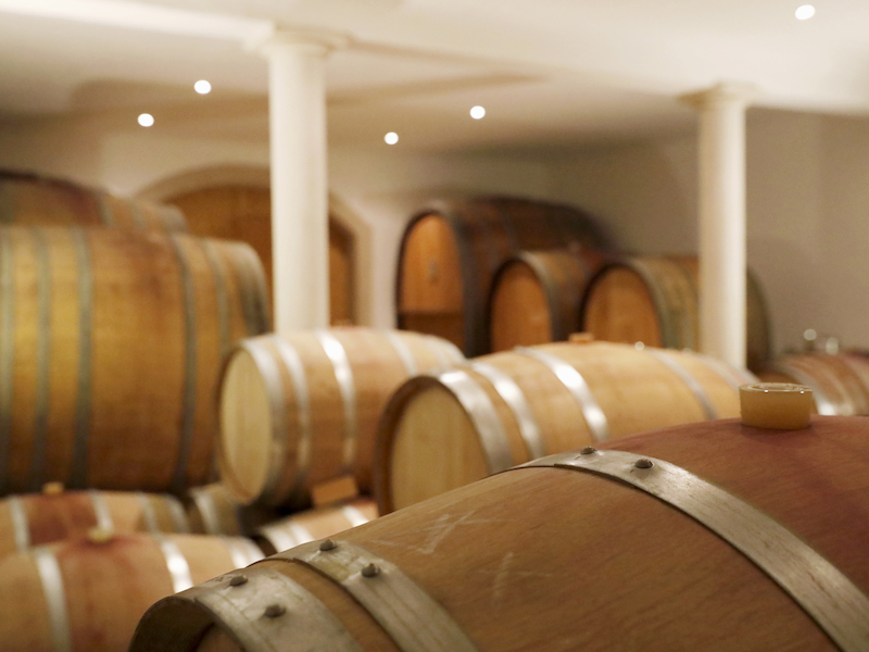 Weinprobe und Kellerführung im Bio - Weingut Egon Schmitt
