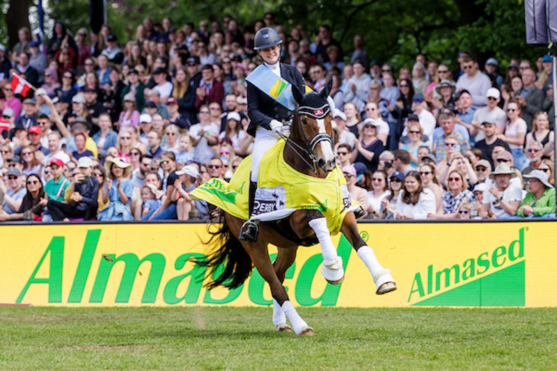 Dauerkarte Dressur 2026