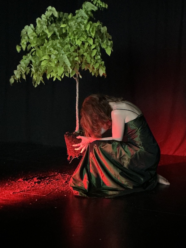 Die Schutzbefohlenen - Premiere
