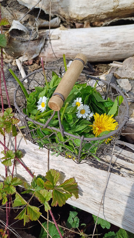 Erlebnistour "Kräuterwanderung"