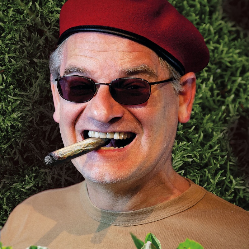 Unkraut vergeht nicht