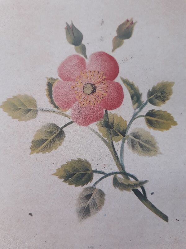 Gold, Weihrauch und Myrrhe