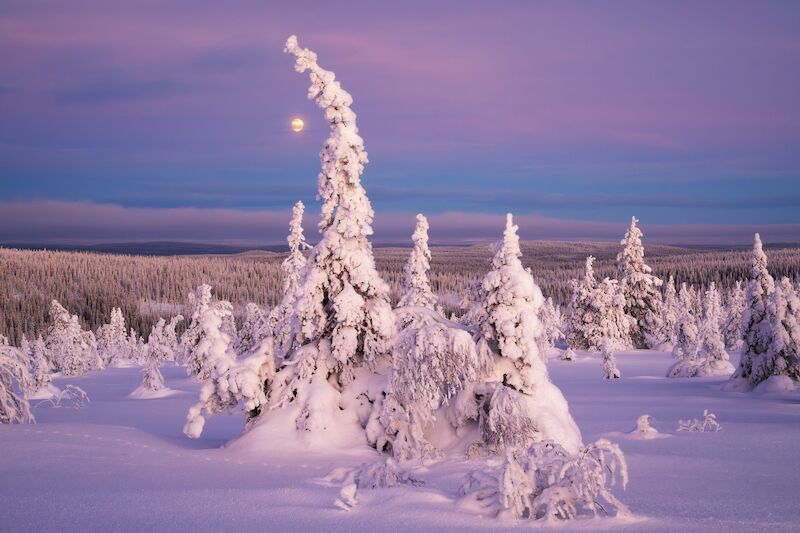 2026 Seminare »horizonte zingst« - Die fünf Elemente der Landschaftsfotografie