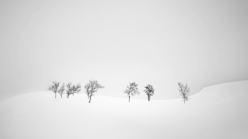 2026 Seminare »horizonte zingst« - Minimalistische Schwarz-Weiß-Fotografie bei -42 Grad in Kanada's Winter