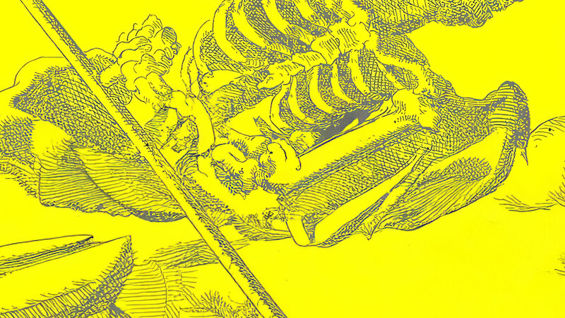 Kinski - mit Entrails Massacre //Necessity