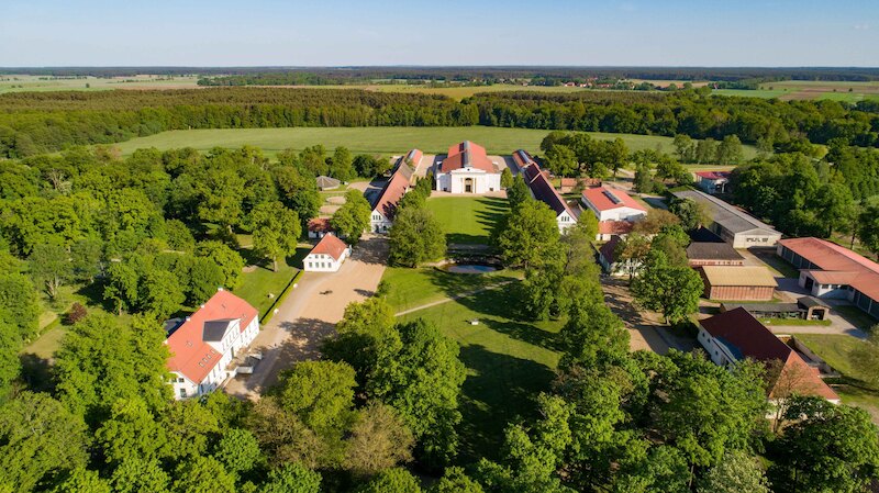 Führung über das Landgestüt Redefin - Erleben Sie das Landgestüt Redefin bei einer geführten Besichtigung