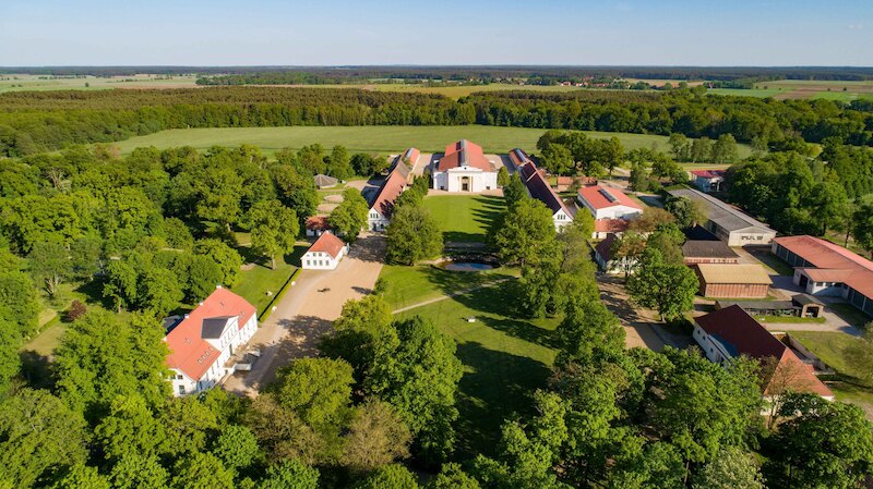 Führung über das Landgestüt Redefin - Erleben Sie das Landgestüt Redefin bei einer geführten Besichtigung