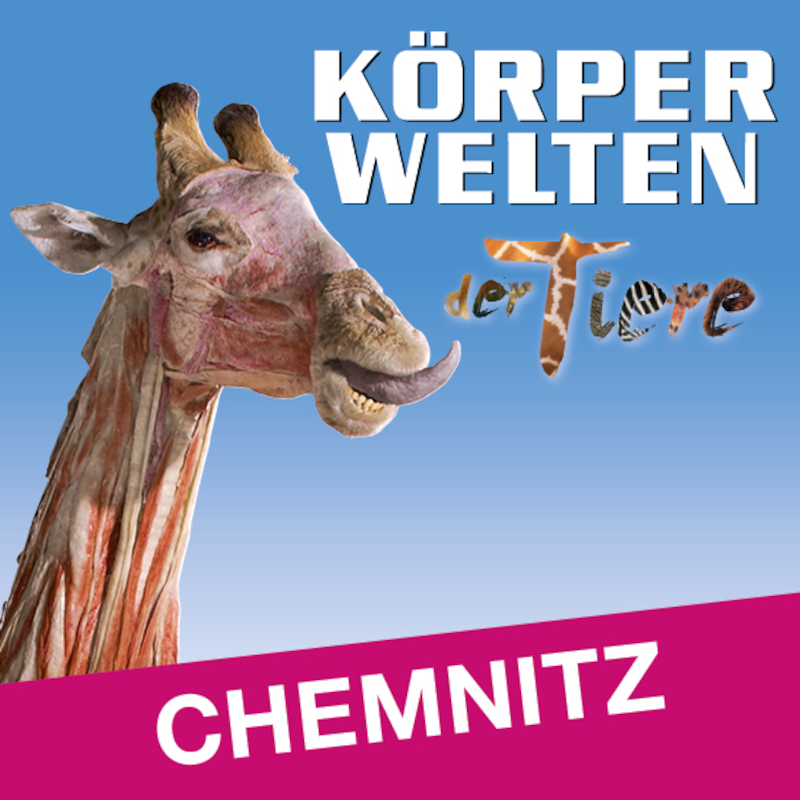 KÖRPERWELTEN der Tiere | Chemnitz | Flex- / Geschenkticket