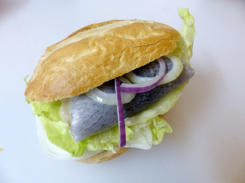 Natur, Kultur und Fischbrötchen (Fahrradexkursion inkl. Schiffstour)