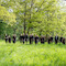 Event - Bild