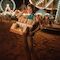 Event - Bild