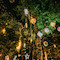 Event - Bild
