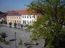 Bild: Kräuterführung in den Buschwiesen