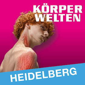 Bild: KÖRPERWELTEN | Heidelberg | Flex- / Geschenkticket